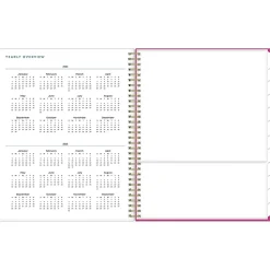 Blue Sky 2024-2025 Star Confetti Bright 8.5