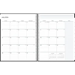 Blue Sky 2024-2025 Teacher Lesson 8.5