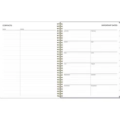 Blue Sky 2025 Tula 8.5