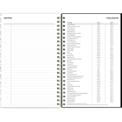 Blue Sky 2025 Vonnie 5