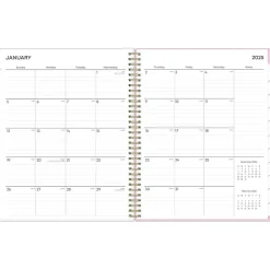 Blue Sky 2025 Wednesday Stripe 8.5