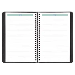 Blueline 2025 Plan & Link 5