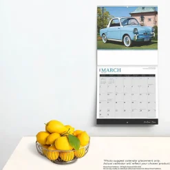 BrownTrout 2025 Brown Trout Motor Club Classic Italian Cars 12