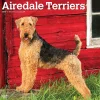 BrownTrout 2025 Airedale Terriers 12" x 12" Monthly Wall Calendar (9781975476472) Discount