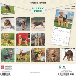 BrownTrout 2025 Airedale Terriers 12" x 12" Monthly Wall Calendar (9781975476472) Discount