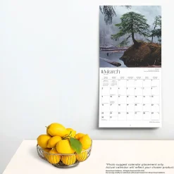 BrownTrout 2025 Alaska Wild & Scenic 12