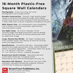 BrownTrout 2025 Alchemy Witches OFFICIAL 12