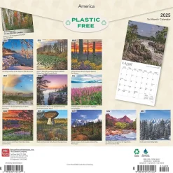 BrownTrout 2025 America 12" x 12" Monthly Square Wall Calendar (9781975474447) Best