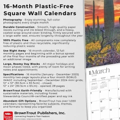 BrownTrout 2025 America 12