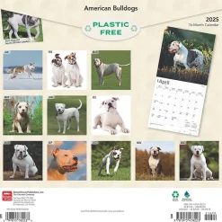 BrownTrout 2025 American Bulldogs 12" x 12" Monthly Square Wall Calendar (9781975478223) Online