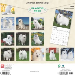 BrownTrout 2025 American Eskimo Dogs 12" x 24" Monthly Square Wall Calendar (9781975476496) Best
