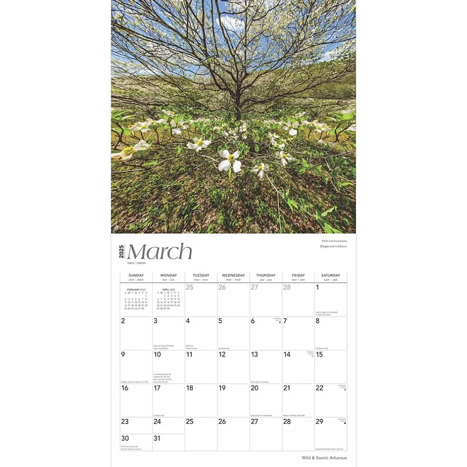 BrownTrout 2025 Arkansas Wild & Scenic 12" x 12" Monthly Square Wall Calendar (9781975474478) Discount