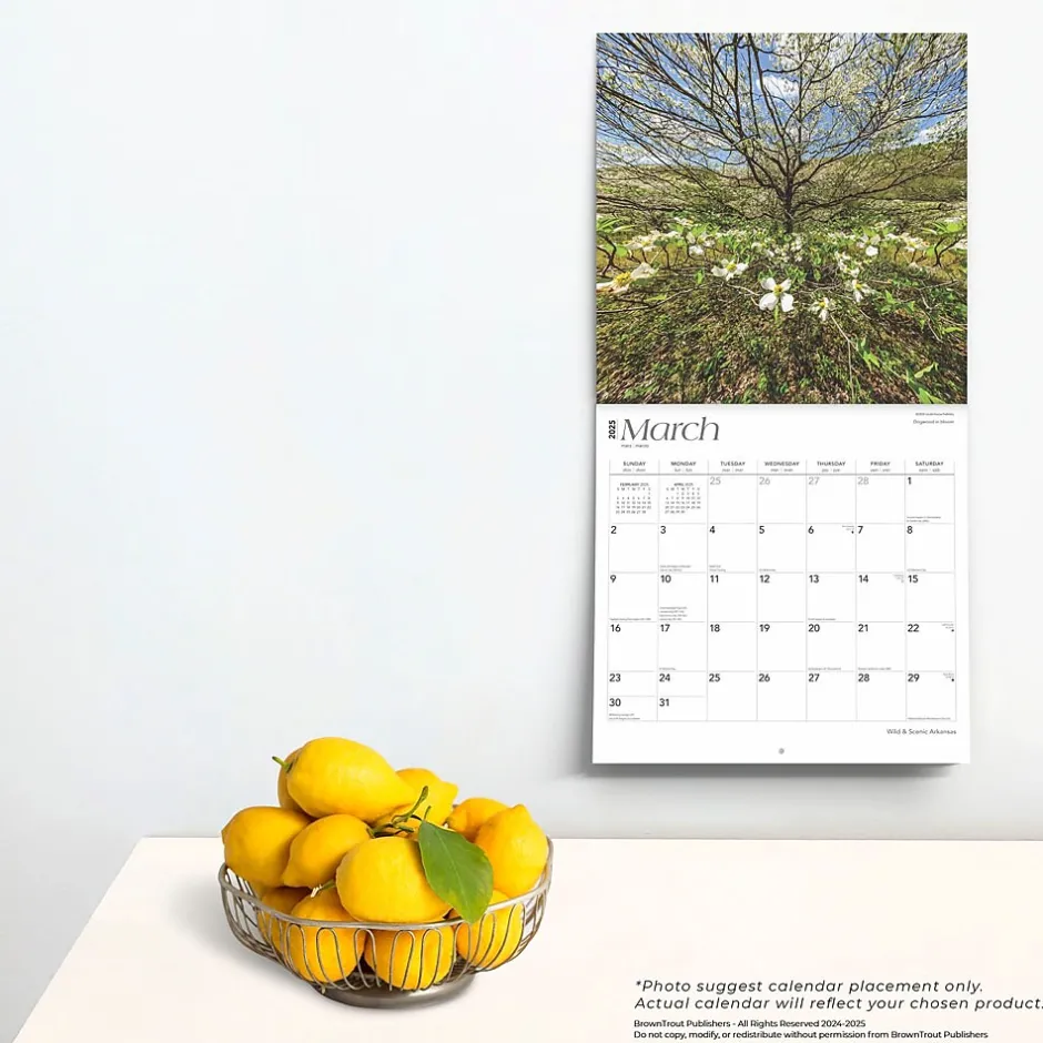 BrownTrout 2025 Arkansas Wild & Scenic 12" x 12" Monthly Square Wall Calendar (9781975474478) Discount