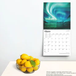 BrownTrout 2025 Aurora Borealis Les aurores boréales 12