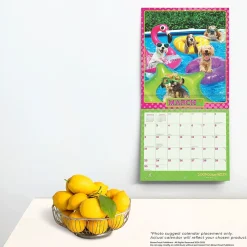 BrownTrout 2025 Avanti Dogs Gone Wild 12