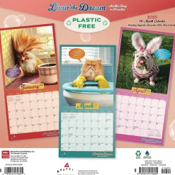 BrownTrout 2025 Avanti Livin' the Dream 12" x 12" Monthly Square Wall Calendar (9781975479695) Discount