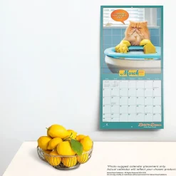 BrownTrout 2025 Avanti Livin' the Dream 12