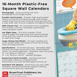 BrownTrout 2025 Avanti Livin' the Dream 12