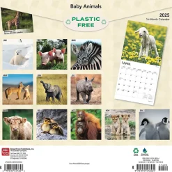BrownTrout 2025 Baby Animals 12" x 12" Monthly Square Wall Calendar (9781975476564) New