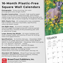 BrownTrout 2025 Baby Goats 12