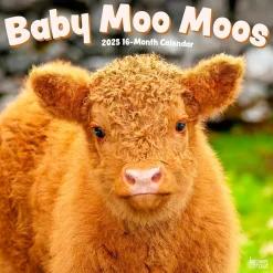 BrownTrout 2025 Baby Moo Moos 12" x 12" Monthly Wall Calendar (9781975476588) New