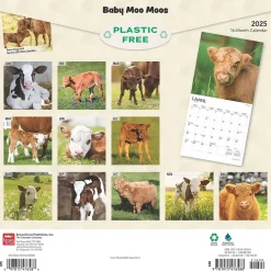 BrownTrout 2025 Baby Moo Moos 12" x 12" Monthly Wall Calendar (9781975476588) New