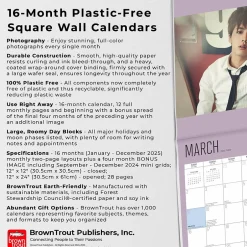 BrownTrout 2025 BTS 12