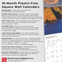 BrownTrout 2025 California National Parks 12