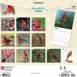 BrownTrout 2025 Cardinals 12" x 24" Monthly Square Wall Calendar, (9781975476786)