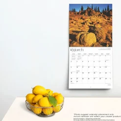 BrownTrout 2025 Cascades 12