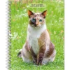 BrownTrout 2025 Cat Lovers 6" x 7.75" Weekly Engagement Planner, Paper Cover, Multicolored (9781975473204) Sale