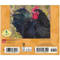 BrownTrout 2025 Chickens 6" x 5" Day-to-Day Desktop Box Calendar (9781975483425) Hot