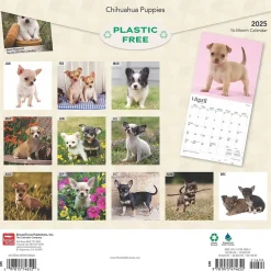 BrownTrout 2025 Chihuahua Puppies 12" x 12" Monthly Wall Calendar (9781975474652) Hot