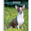 BrownTrout 2025 Chihuahuas 6" x 7.75" Weekly Engagement Planner, Paper Cover, Multicolored (9781975480622) Outlet