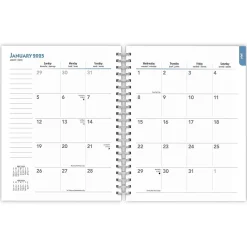 BrownTrout 2025 Chihuahuas 6