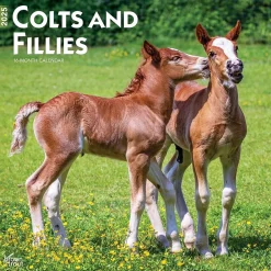 BrownTrout 2025 Colts and Fillies 12" x 12" Monthly Wall Calendar (9781975483722) Best