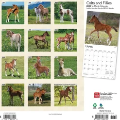 BrownTrout 2025 Colts and Fillies 12" x 12" Monthly Wall Calendar (9781975483722) Best