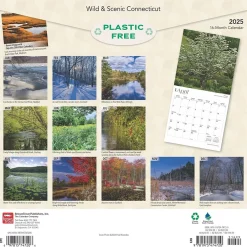 BrownTrout 2025 Connecticut Wild & Scenic 12" x 24" Monthly Square Wall Calendar (9781975474720) Outlet