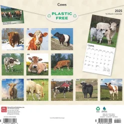 BrownTrout 2025 Cows 12" x 12" Monthly Wall Calendar (9781975476892) Clearance