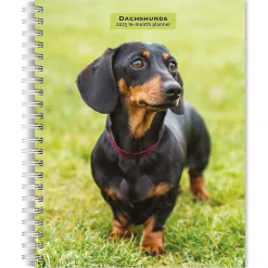 BrownTrout 2025 Dachshunds 6" x 7.75" Weekly Engagement Planner, Paper Cover, Multicolored (9781975473174) Clearance