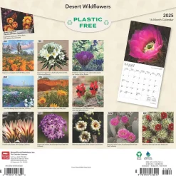 BrownTrout 2025 Desert Wildflowers 12" x 12" Monthly Wall Calendar (9781975476014) Discount