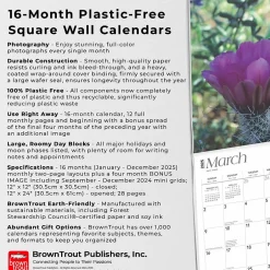 BrownTrout 2025 Desert Wildflowers 12