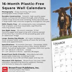 BrownTrout 2025 Donkeys 12