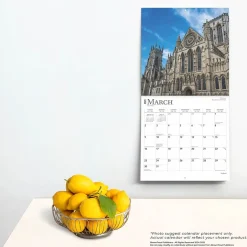 BrownTrout 2025 England 12