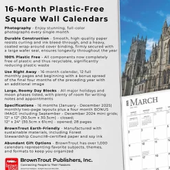 BrownTrout 2025 England 12