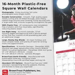 BrownTrout 2025 Fantasy Pugs 12