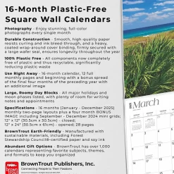 BrownTrout 2025 Florida Coast 12