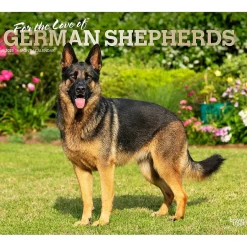 BrownTrout 2025 For the Love of German Shepherds 7" x 12" Monthly Wall Calendar (9781975473037) Discount