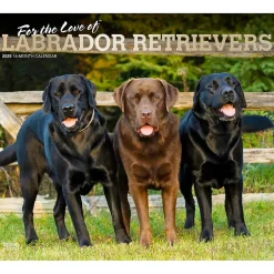 BrownTrout 2025 For the Love of Labrador Retrievers 14" x 24" Monthly Deluxe Wall Calendar, (9781975473068) Discount