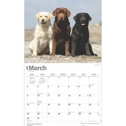 BrownTrout 2025 For the Love of Labrador Retrievers 14
